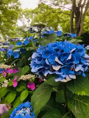 御裳神社(愛知県)