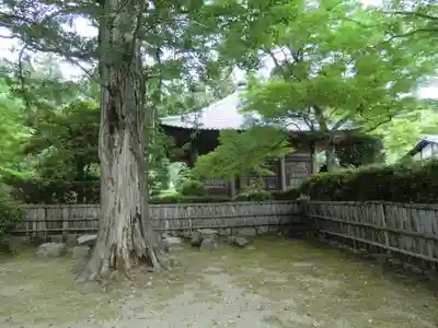 滋賀院門跡(滋賀県)