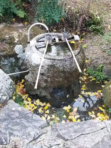 三鈷寺(京都府)