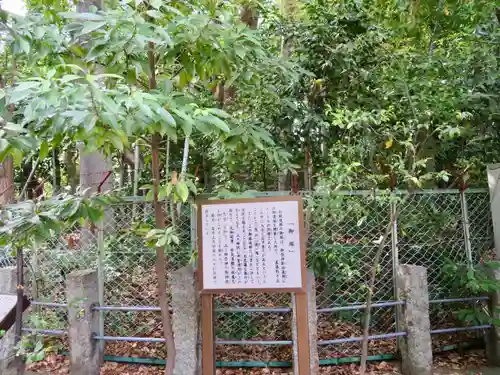 新田神社のお墓