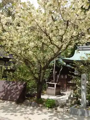 白峯神宮(京都府)