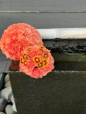 上尾御嶽神社の手水舎