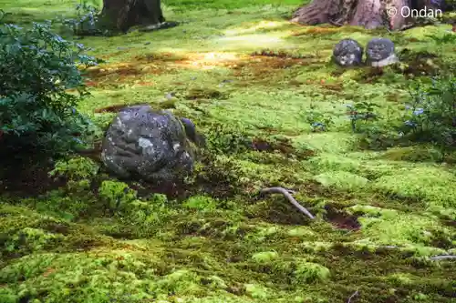 三千院門跡の地蔵