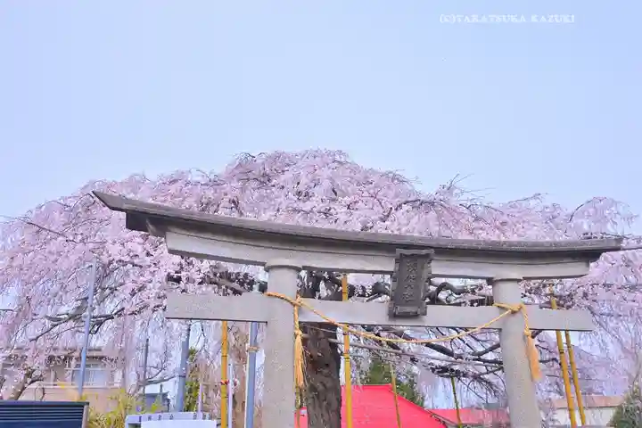 栗谷須賀神社(神奈川県)
