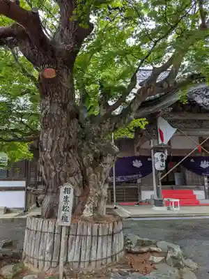 金華山黄金山神社(宮城県)