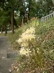 事任八幡宮の周辺