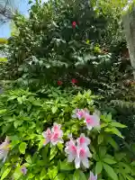 開闡寺の{uncategorized: "未分類", other: "その他", undefined: "問題あり", building: "その他建物", grave: "お墓", sacred_gate: "鳥居", guardian: "狛犬", statue: "像", buddha: "仏像", history: "歴史", nature: "自然", garden: "庭園", animal: "動物", pagoda: "塔", temizu: "手水舎", mountain_gate: "山門・神門", sanctuary: "本殿・本堂", subordinate: "末社・摂社", art: "芸術", scenery: "景色", jizo: "地蔵", ema: "絵馬", goshuin: "御朱印", omikuji: "おみくじ", items: "授与品その他", amulet: "お守り", goshuincho: "御朱印帳", eats: "食事", festival: "お祭り", votive_dance: "神楽", shichigosan: "七五三参", wedding: "結婚式", experience: "体験その他", initially: "初詣", around: "周辺", anti_infection: "感染症対策"}