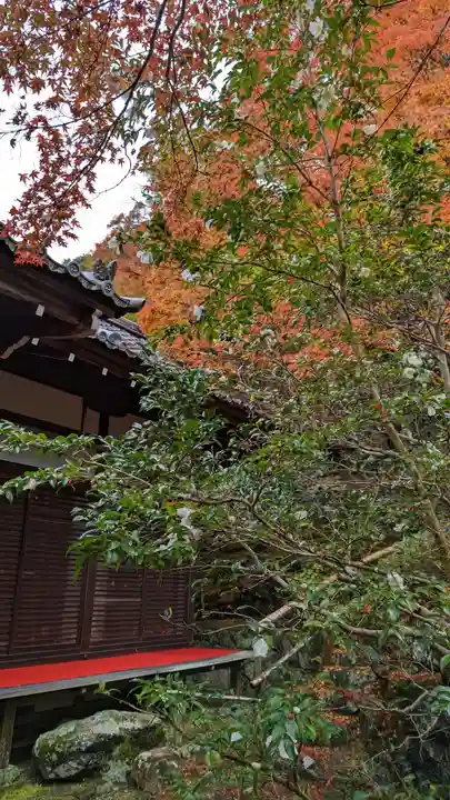 霊鑑寺門跡(京都府)
