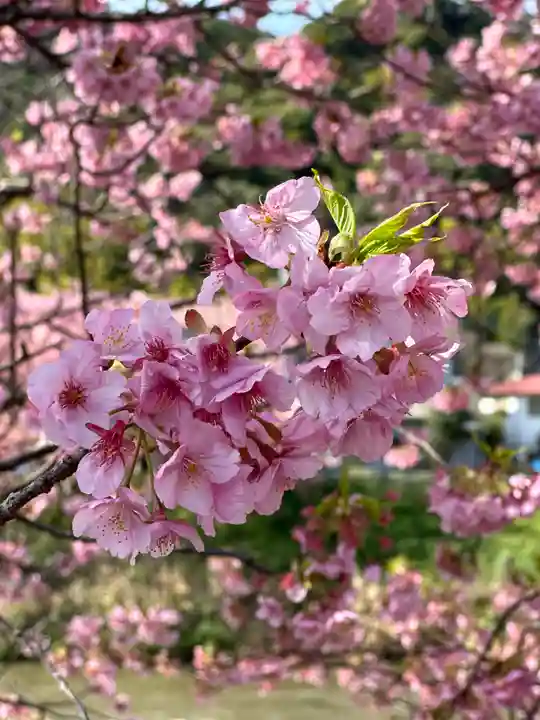 かっぱの寺 栖足寺(静岡県)