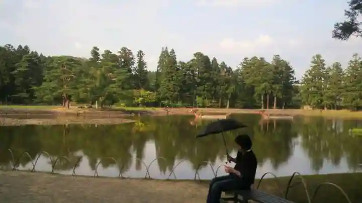 毛越寺(岩手県)