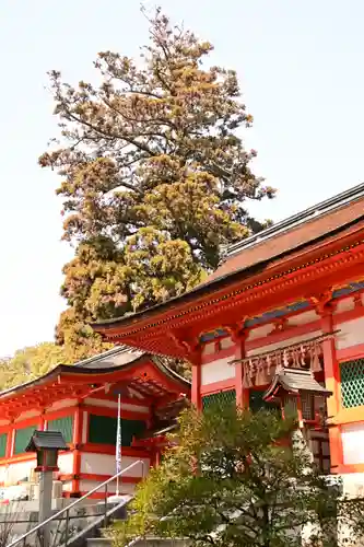 香椎宮(福岡県)