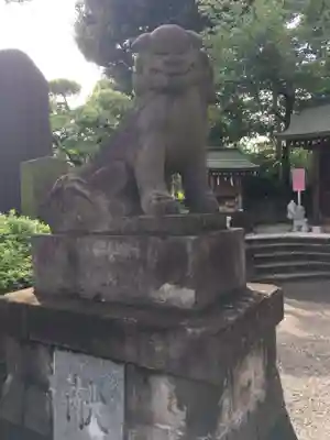 赤羽八幡神社の狛犬