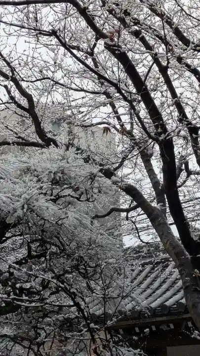 宝蔵寺(京都府)