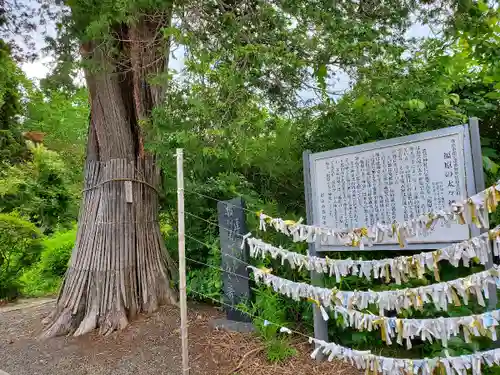豊景神社のその他建物