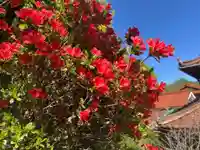 木舟山 順教寺(広島県)