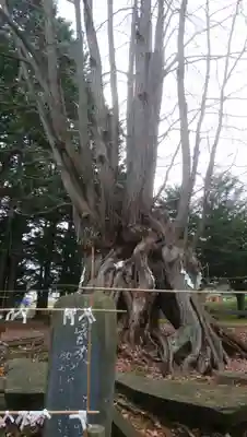 美幌神社のその他建物