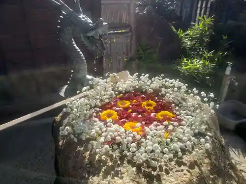 御井神社の手水舎