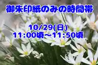 くまくま神社(導きの社 熊野町熊野神社)(東京都)