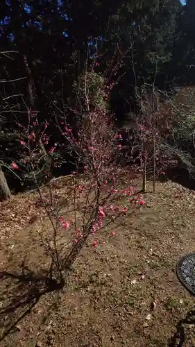 矢奈比賣神社（見付天神）(静岡県)