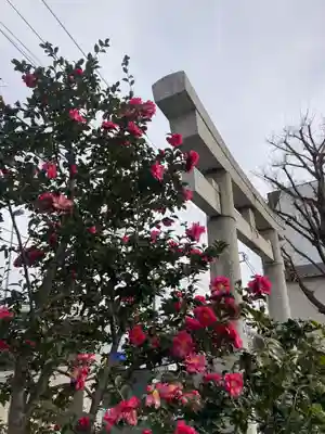 日野八坂神社(東京都)