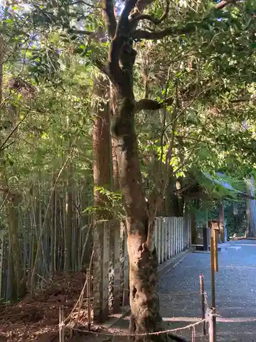岡森神社(愛媛県)