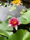 さとさはさんのプロフィール画像