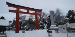 北海道護國神社の鳥居