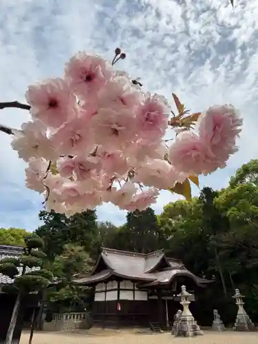 清水神社(兵庫県)