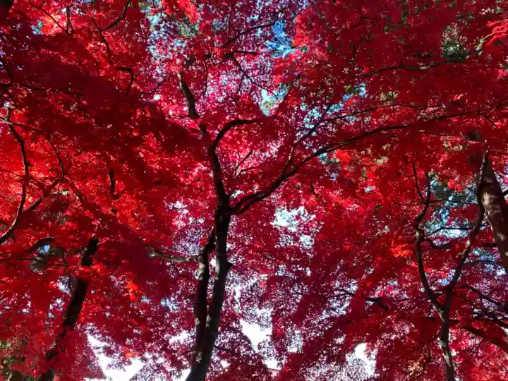 長圓寺(長野県)