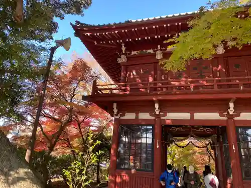 本土寺の山門・神門