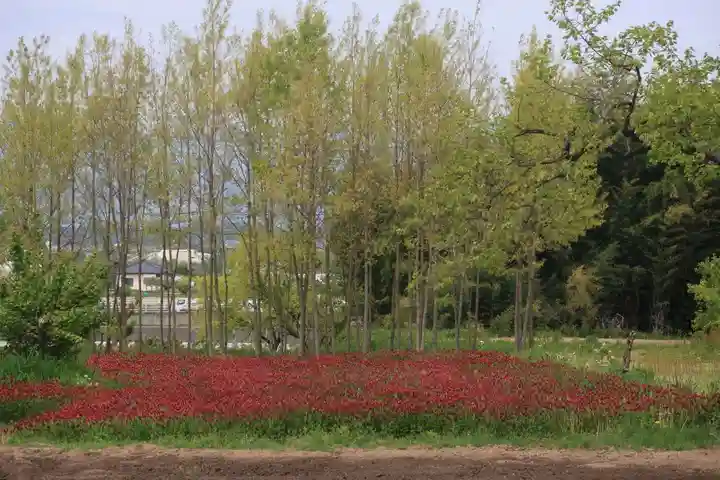 藤稲荷神社の周辺