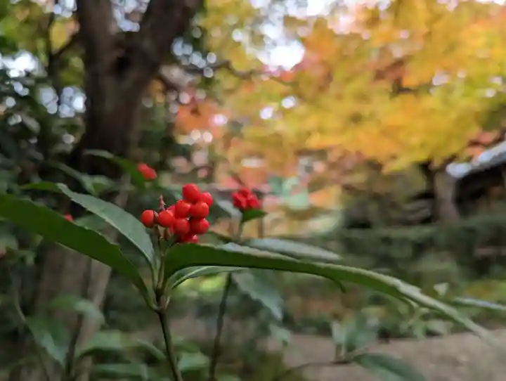 厭離庵(京都府)