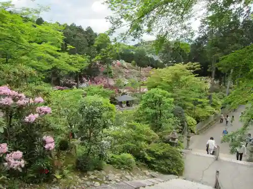 三室戸寺の庭園