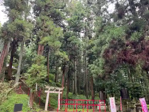 大宮温泉神社の鳥居