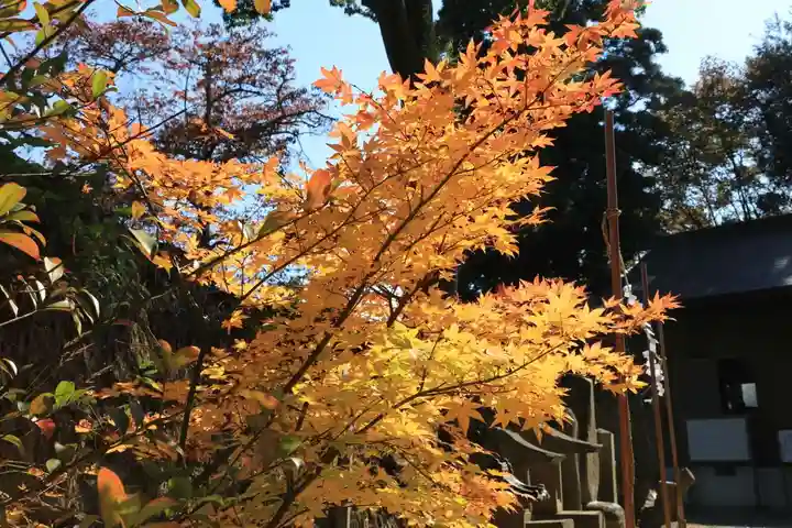 長屋神社の庭園