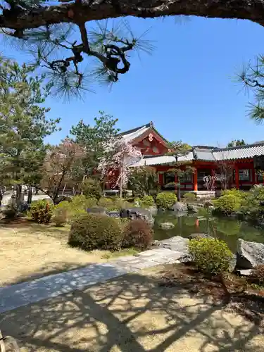 蓮華王院（三十三間堂）の庭園