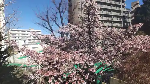 鶴見神社(神奈川県)