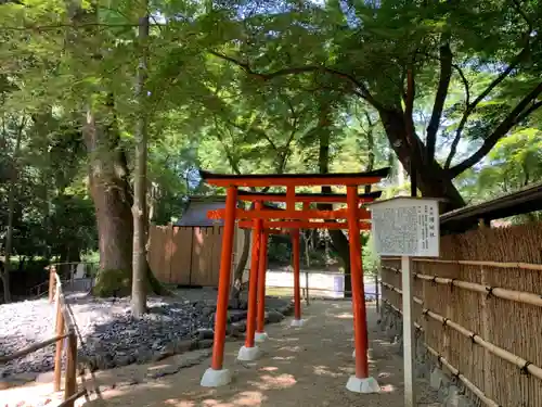 賀茂御祖神社（下鴨神社）の鳥居