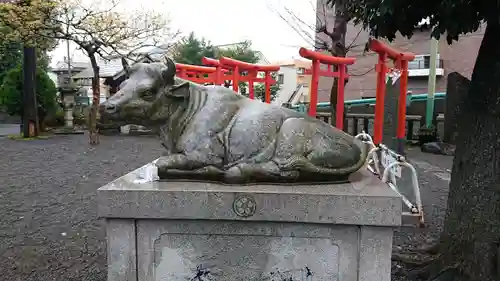 町田天満宮の狛犬