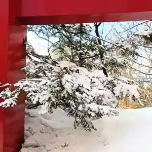 彌彦神社 (伊夜日子神社)の自然(2025年03月07日(金) 10時32分39秒投稿)