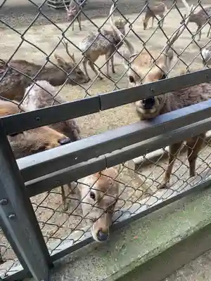 鹿島神宮(茨城県)