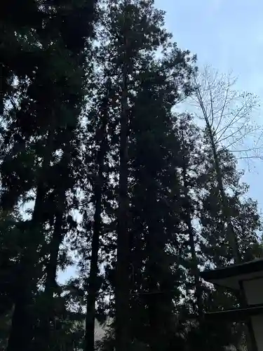 大宮温泉神社(栃木県)