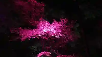 賀茂御祖神社（下鴨神社）のその他建物