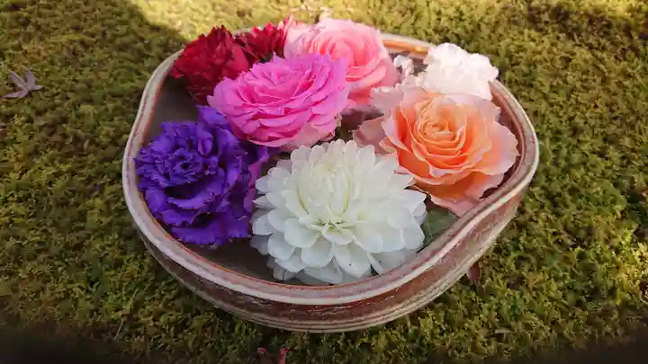 勝林寺(京都府)