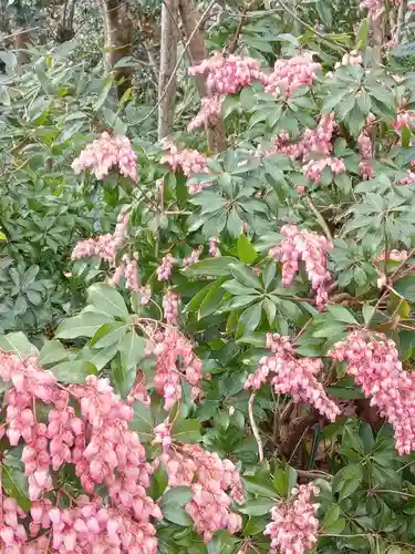 勝尾寺(大阪府)