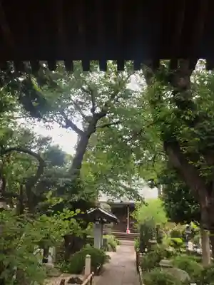 東覺院の本殿・本堂