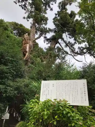 陸奥総社宮(宮城県)