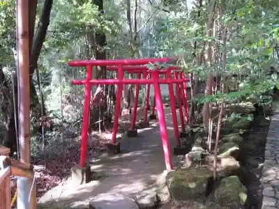 狸福神社の鳥居