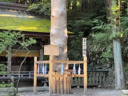 諏訪大社下社春宮(長野県)