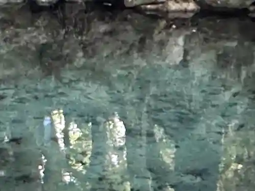 泉神社(茨城県)